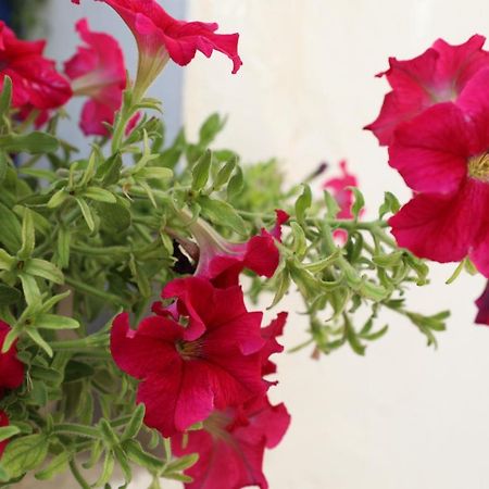 Dimitra Boutique Hotel Poros Town Exteriér fotografie