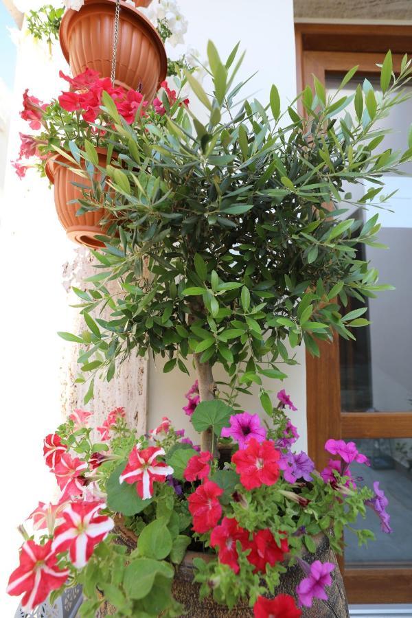 Dimitra Boutique Hotel Poros Town Exteriér fotografie